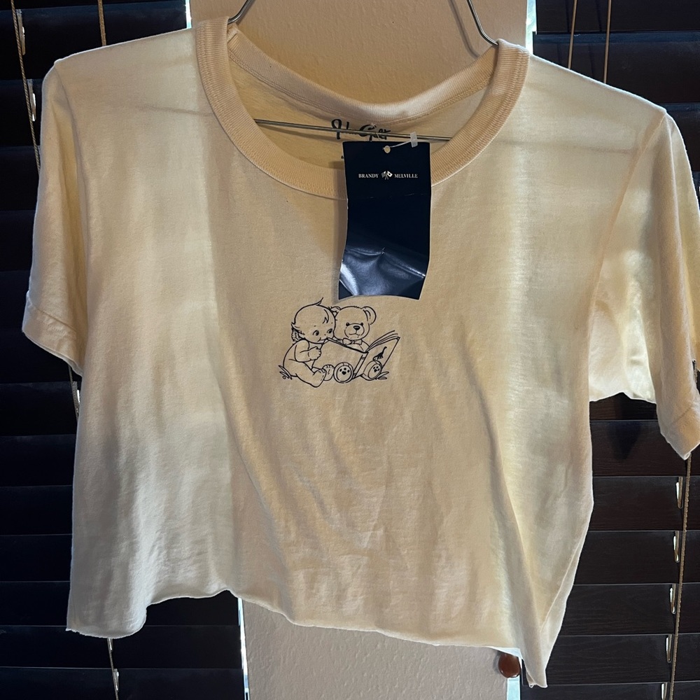 brandy crop top
